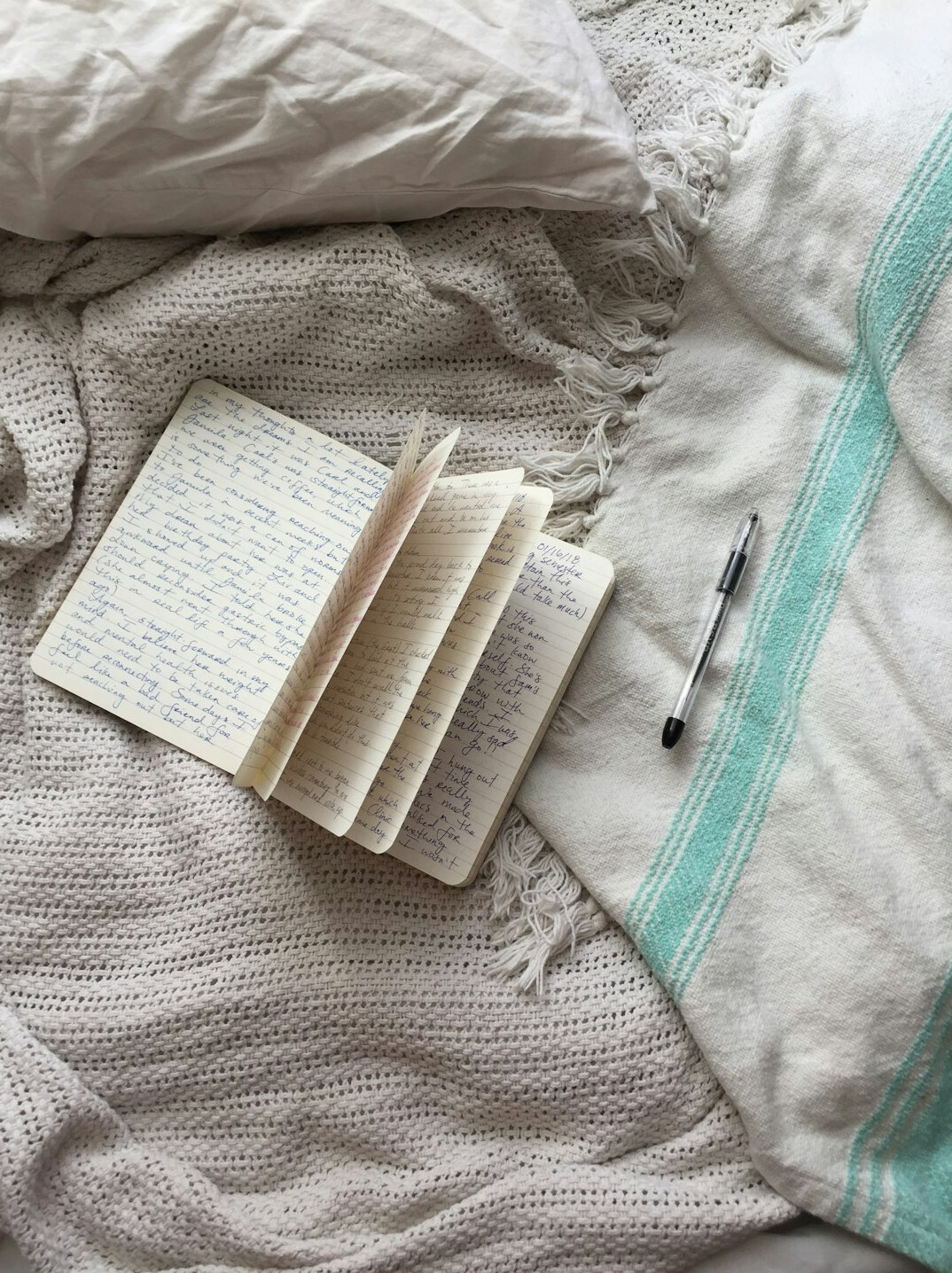 person journaling daily habits